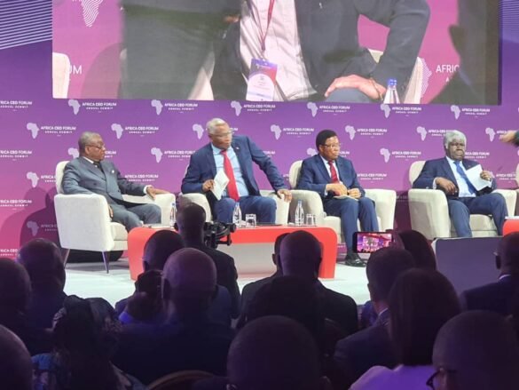 Stakeholders at the Africa CEO Forum