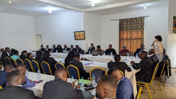 Lawyers from across the Southwest Region listening to the ICRC’s Katrien Turgeon in Buea