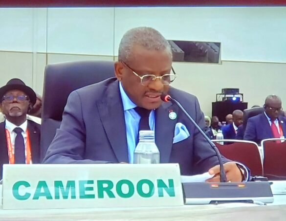 President Biya’s Representative at the TICAD, PM Dion Ngute