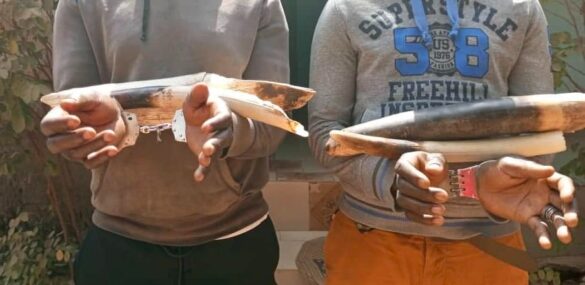 WhatsApp Image 2025-09-03 at 3.02.41 PM (2)