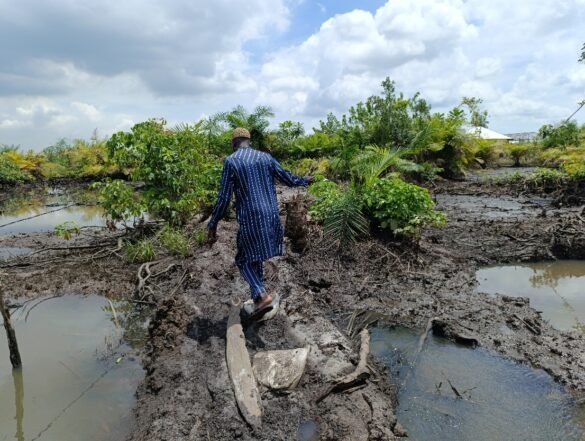 Olando Jemu walking through the vast area formally covered by mangroves (Image by Boris-Kaloff Batata)